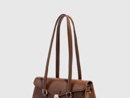 Niche Light Luxury High-end Underarm Bag Women's 2025 Spring and Summer New French Retro Shoulder Bag Exquisite Crossbody Bag