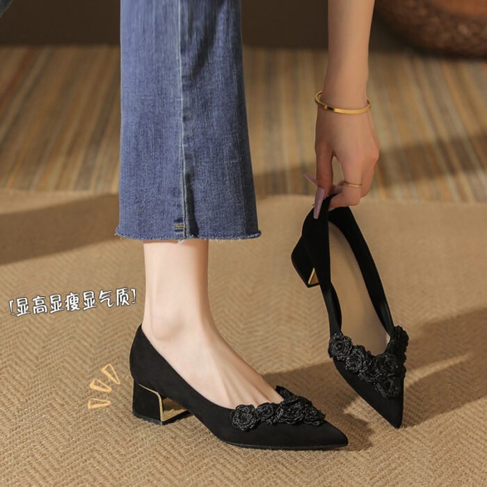 33912-213B Temperament, High-End, Versatile Thick Heel and Pointed Toe 2025 Autum New Niche Design Women's Shoes - Image 3