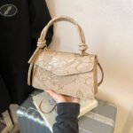 This year's popular bag women's 2025 new high-end texture niche underarm bag spring casual versatile crossbody women's bag
