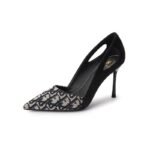 High Heels Women's 2024 New High-end Fashion All-match Shallow Mouth Pointed Stiletto Heel High-heeled Shoes Elegant Fashion Shoes - Image 5