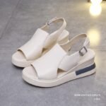 European and American Foreign Trade Platform Thick-soled Wedge PU-soled Lightweight Sandals Women's Outfit One-piece Buckle Beach Sandals - Image 4