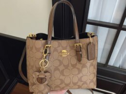 European & American Women's Handbags – Large Capacity Tote & Trendy Printed Shoulder Crossbody – Casual, Stylish, Mlb Bags